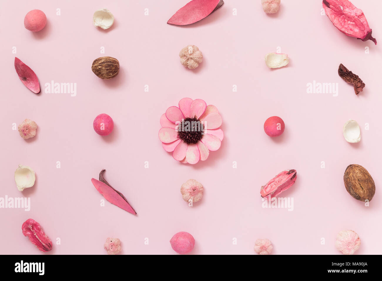 Disegno creativo fatto di fiori secchi, foglie e fruitage pastello su sfondo rosa primavera estate i concetti di minima. Foto Stock