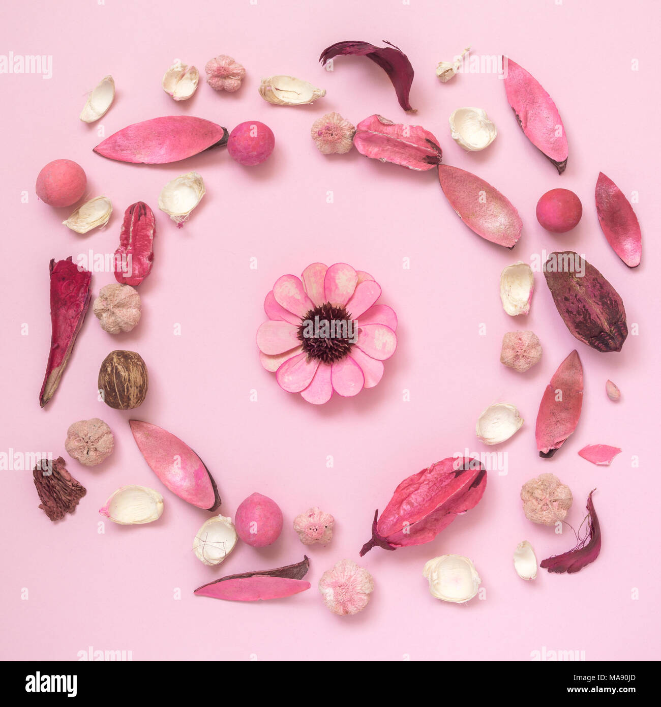 Fiori, foglie e parti di piante sul rosa pastello sfondo minima piatti creativi concetto laici. Foto Stock