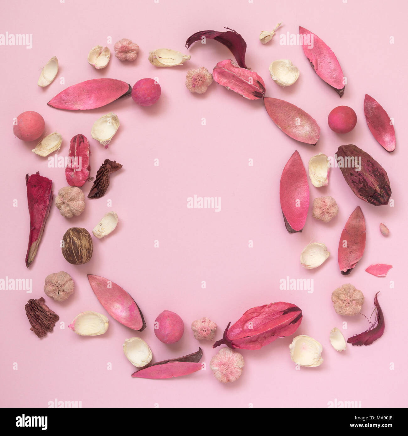 Fiori, foglie e parti di piante sul rosa pastello sfondo minima piatti creativi concetto laici. Foto Stock