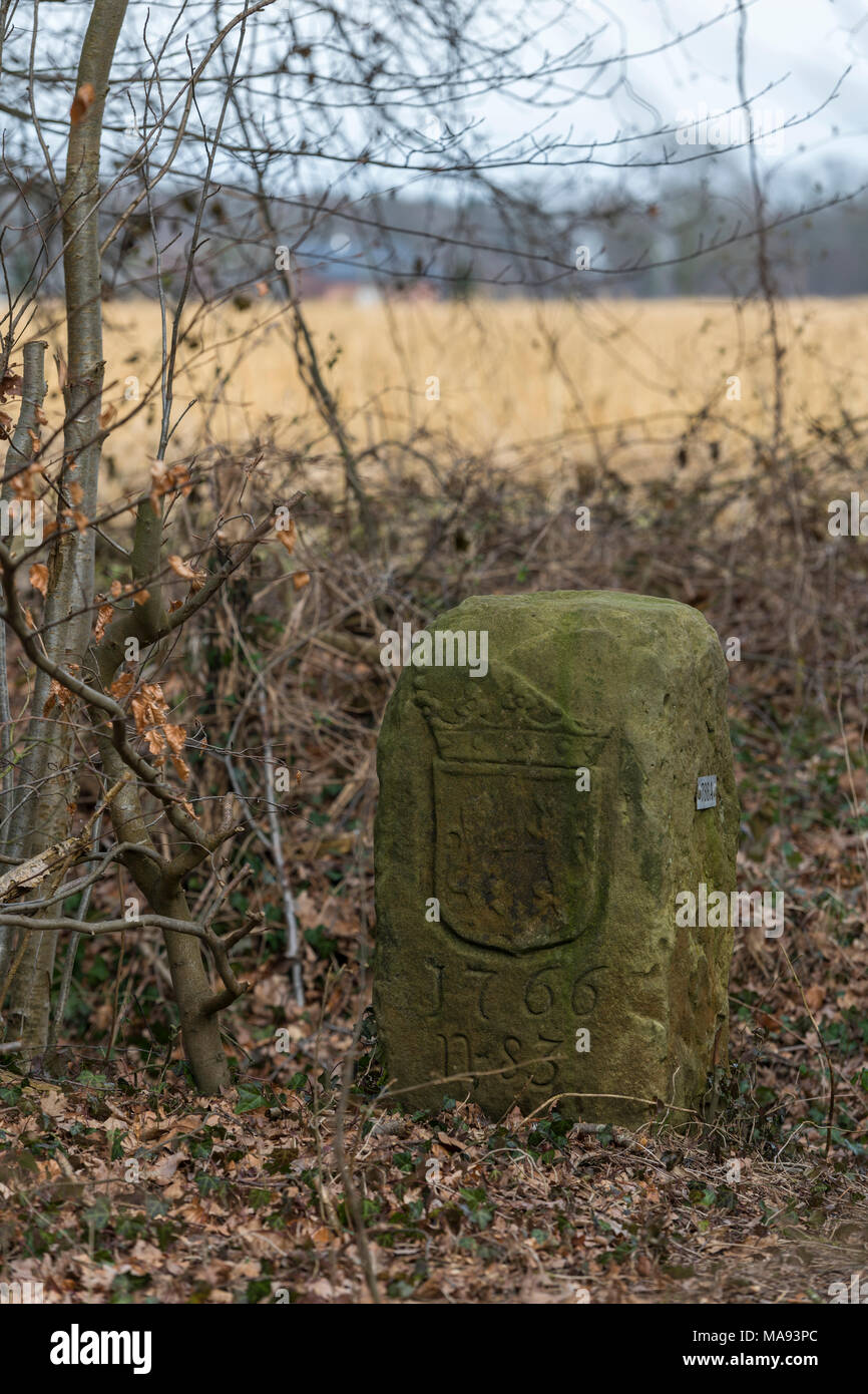 Storica pietra di confine sulla terra di confine dei Paesi Bassi e la Germania vicino al in olandese chiamato komiezenpaden sentieri in passato utilizzato da guardie di confine Foto Stock