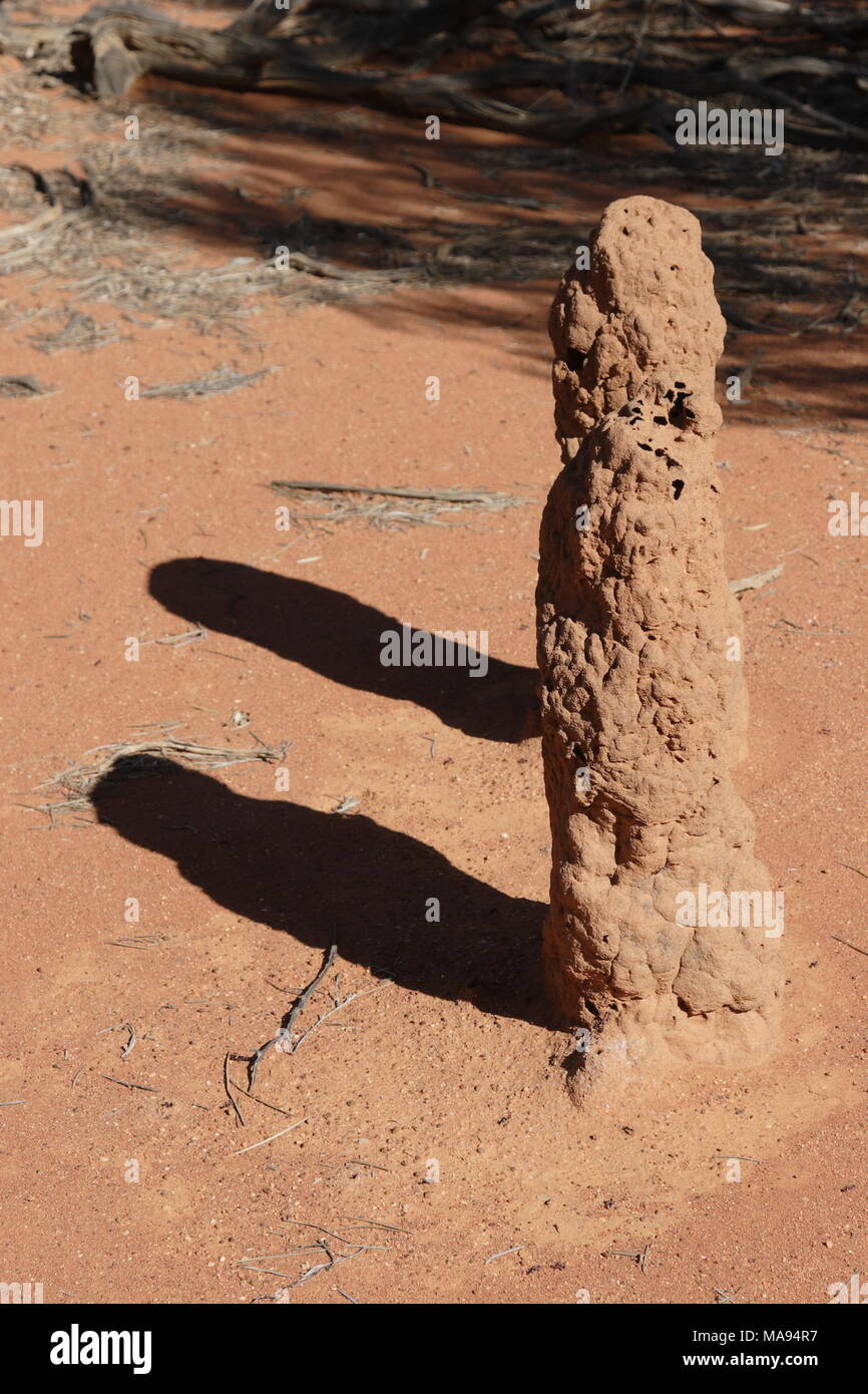 Il doppio di shadowing tumulo termite Foto Stock