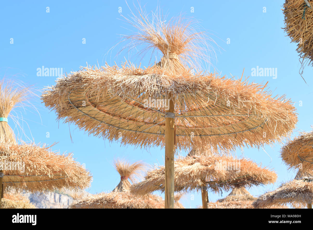 Ombrelloni di paglia in spiaggia in estate Foto Stock