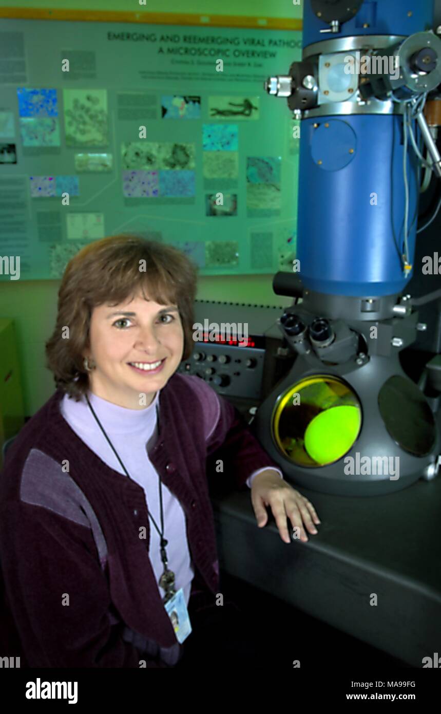Cynthia orafo, a centri per il controllo delle malattie (CDC) ricerca biologo, seduti davanti ad un microscopio elettronico a trasmissione (TEM), 2004. Immagine cortesia di centri per il controllo delle malattie. () Foto Stock