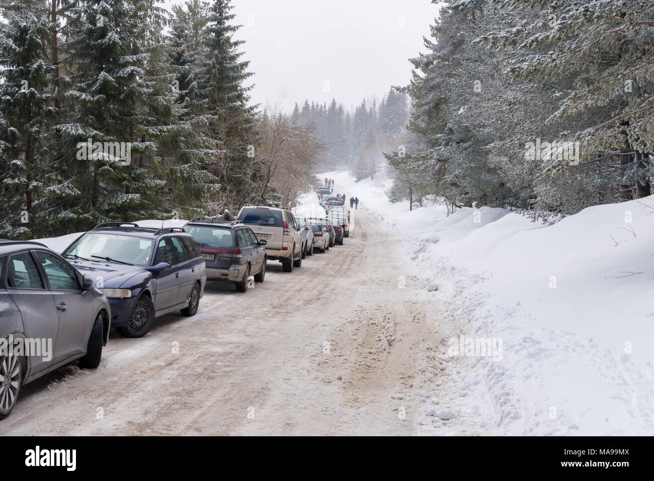 Coperta di neve strada nella foresta di conifere circondato da neve profonda, lungo la linea parallela di automobili parcheggiate e il piccolo gruppo di persone Foto Stock