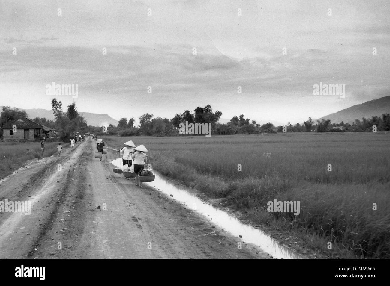 Fotografia in bianco e nero che mostra diverse persone, indossare tessuti conica cappelli (non la) e portante cestelli appesi da poli di bambù, camminando verso il basso una sporcizia, country road, con una casa a sinistra e risaie a destra, fotografato in Vietnam durante la Guerra del Vietnam (1955-1975), 1968. () Foto Stock