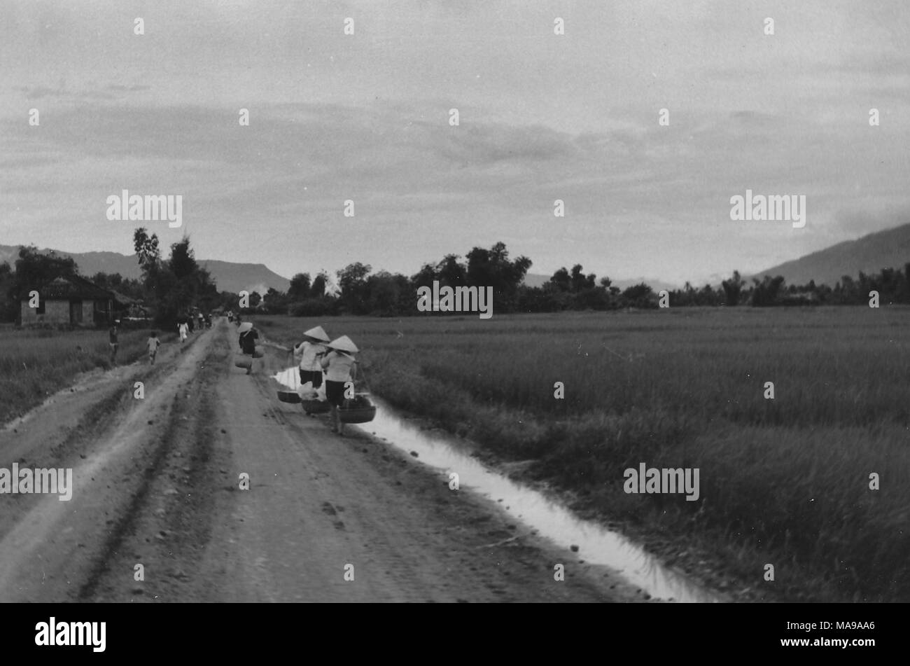 Fotografia in bianco e nero che mostra diverse persone, indossare tessuti conica cappelli (non la) e portante cestelli appesi da poli di bambù, camminando verso il basso una sporcizia, country road, con una casa a sinistra e risaie a destra, fotografato in Vietnam durante la Guerra del Vietnam (1955-1975), 1971. () Foto Stock