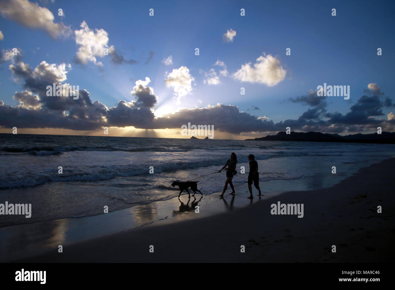 La gente camminare cane all alba Kailua Beach, Oahu nelle Hawaii. Foto Stock