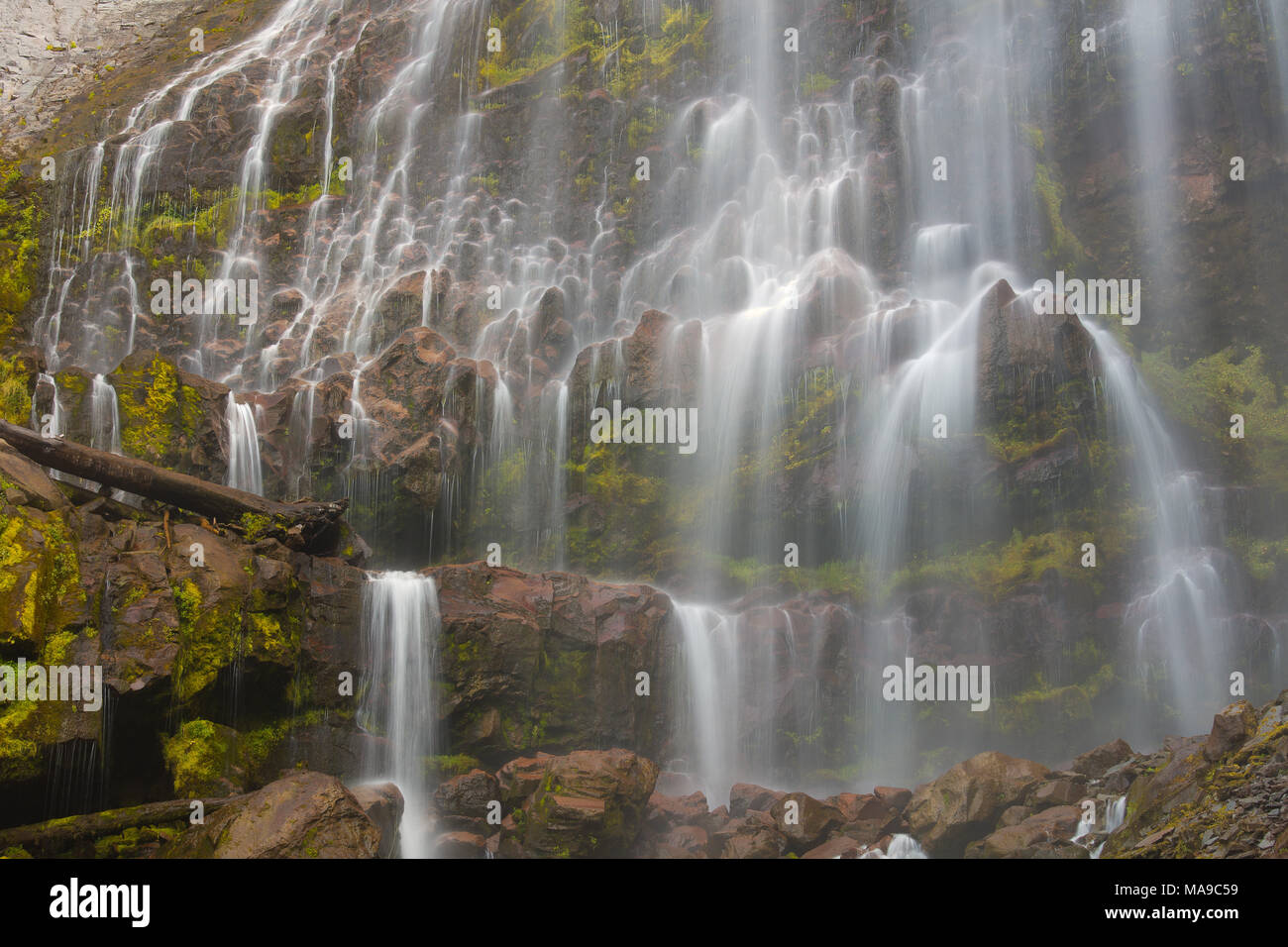 Spray cade, il Parco Nazionale del Monte Rainier Foto Stock