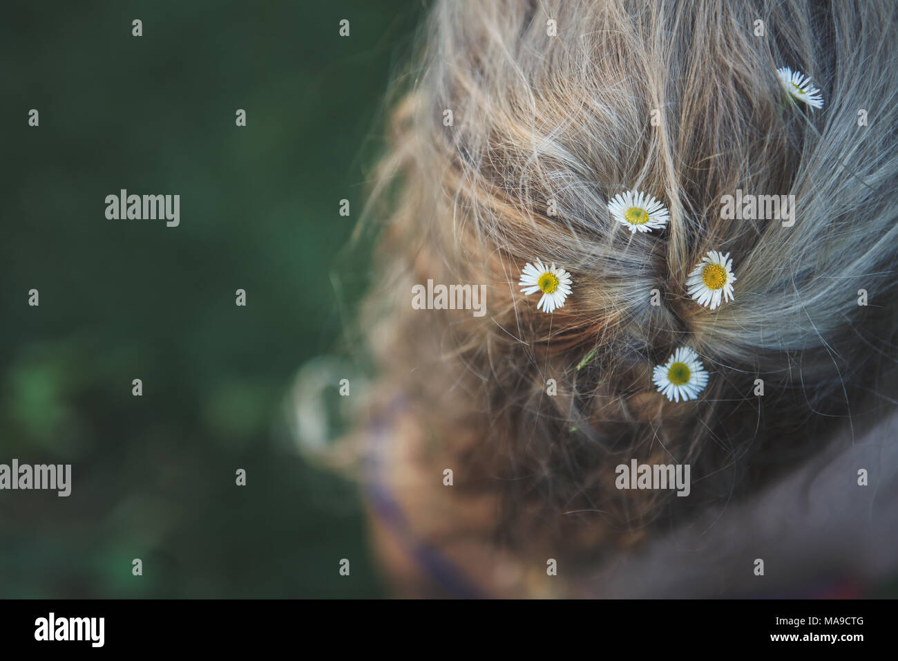 Giovane ragazza bionda con margherite nei suoi capelli intrecciati Foto Stock