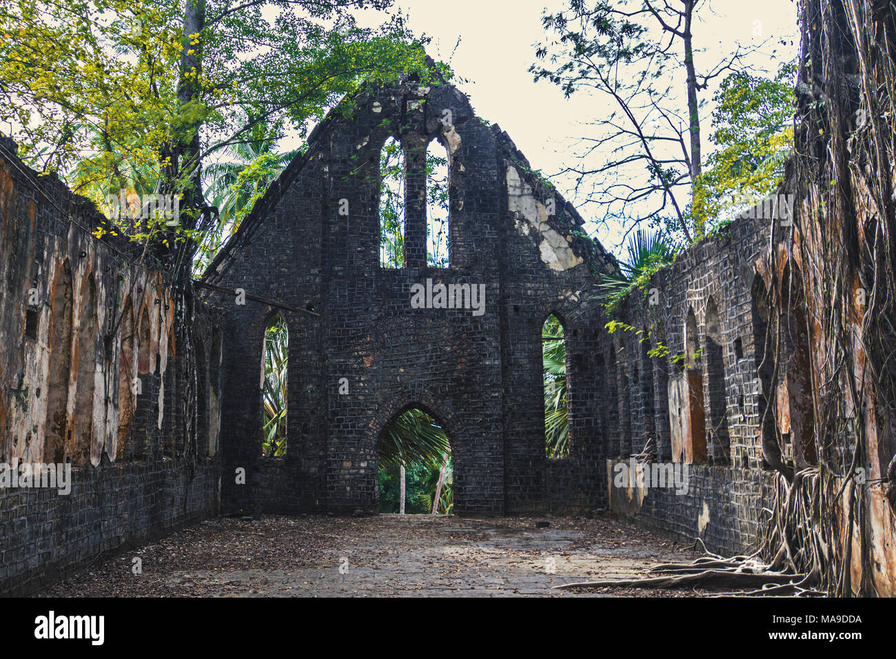 Rovine di abbandonato il vecchio edificio britannico coperti con radici a Ross Island, Andaman Nicobar, India Foto Stock