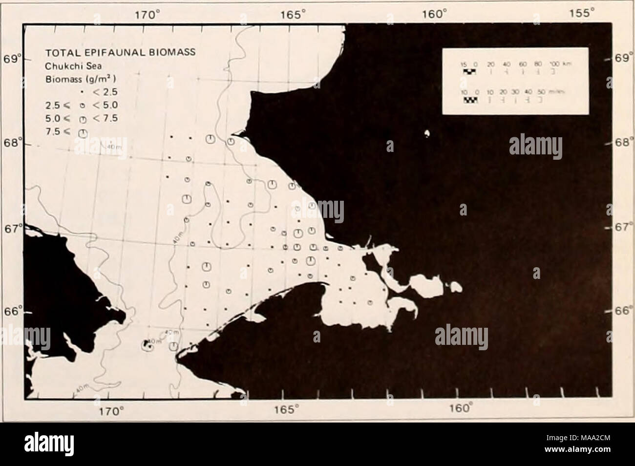 . La parte orientale del Mare di Bering ripiano : oceanografia e risorse / a cura di Donald W. cofano e John A. Calder . Figura 65-5. Rete a strascico bentoniche stazioni occupate nel sud- orientale mare Chukchi, 1976. Figura 65-6. La distribuzione e la biomassa di epifauna totale nel sud-est del mare Chukchi. Foto Stock
