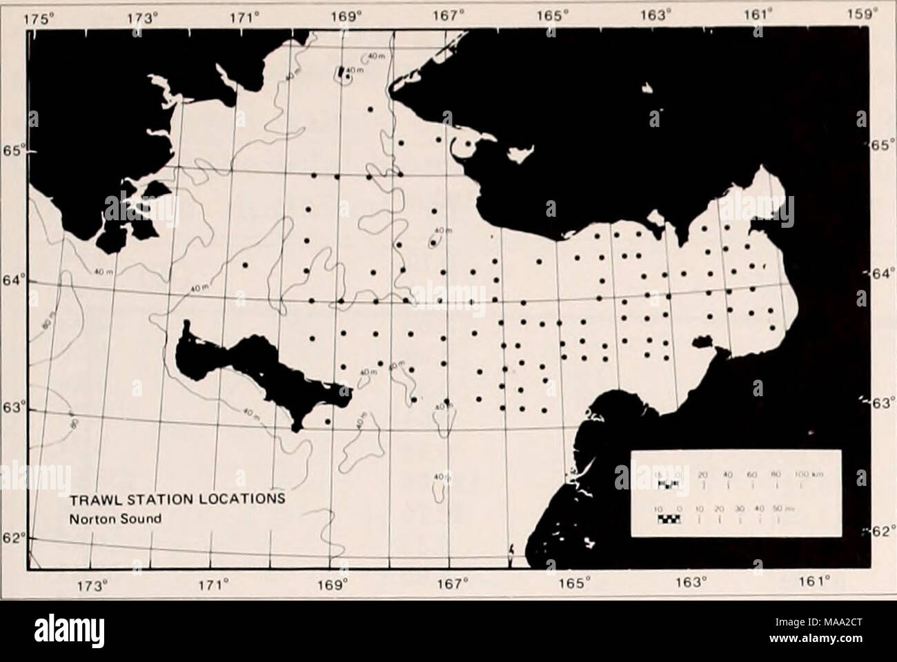 . La parte orientale del Mare di Bering ripiano : oceanografia e risorse / a cura di Donald W. cofano e John A. Calder . Figura 65-3. Rete a strascico bentoniche stazioni occupate in piastrella del nord-est del mare di Bering, 1976. Ho totale biomassa EPIFAUNAL Norton Sound ho Biommi l9/m' &gt; 4 ^ O &lt; 8 8&LT; o &lt;'J 12* Q 173° 17 Foto Stock