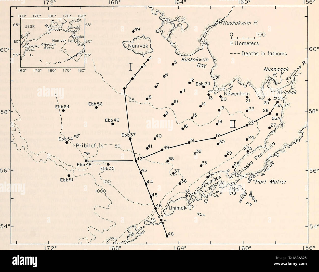 . La parte orientale del Mare di Bering ripiano : oceanografia e risorse / a cura di Donald W. cofano e John A. Calder . 156° Figura 27-1. Ubicazione delle stazioni occupate in Bristol Bay nel settembre-ottobre 1975 e luglio 1976. Le linee piene mostrano la ver- tical sezioni lungo la quale la distribuzione della proprietà è discusso. I contorni di profondità sono in braccia. misurazioni (24 ore e 36 ore) sono stati realizzati in corrispondenza delle stazioni Ebb 37 e 46 nel mese di settembre e di ottobre 1975. In aggiunta al campionamento per sciolto hy- drocarbons, misurazioni di salinità, temperatura, e concentrazioni di materia in sospensione sono state anche effettuate a eac Foto Stock