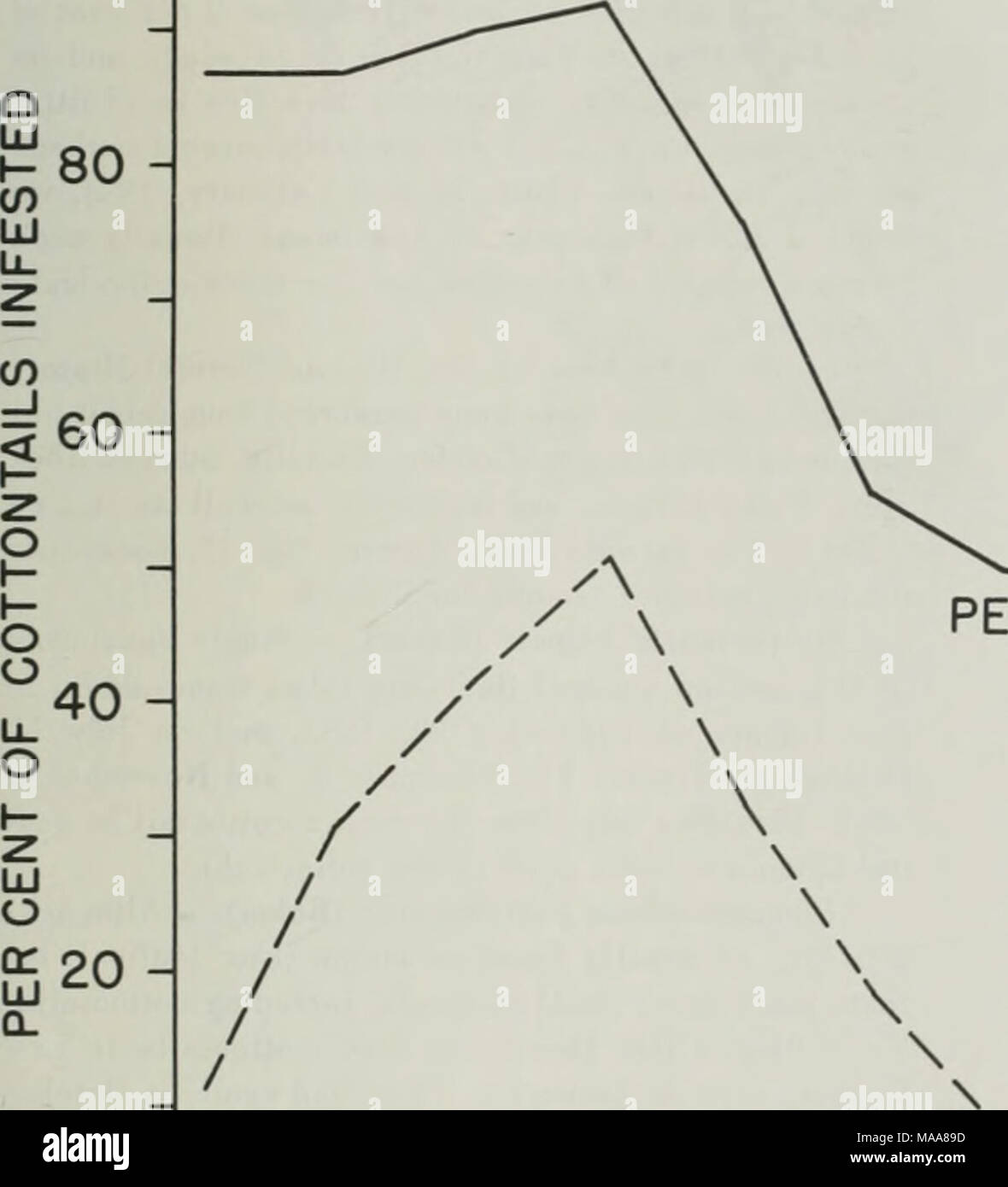 . Ectoparassiti del coniglio silvilago in Lee County, Northern Illinois . PER CENTO NUMERO MEDIO â 7 7â r T &gt;^" C O T 1-40^ h- o o o UJ 1-302 tr UJ - 20 a: UJ log CD &lt; Fig. 10.âMonthly distribuzione (per cento di conigli infestato e numero medio su conigli infestati) della sim Cediopsylla- plex in Lee County, 1952-1954. Il grafico è basato su 3 mesi di scala di scorrimento dei dati nella tabella 3. È interessante confrontare l'apparente fluttuazioni stagionali in popolazioni di questo flea con popolazioni di altre specie. Evans &AMP; Freeman (1950), in un sondaggio di piccoli mammiferi che si verificano nei pressi di Oxf Foto Stock