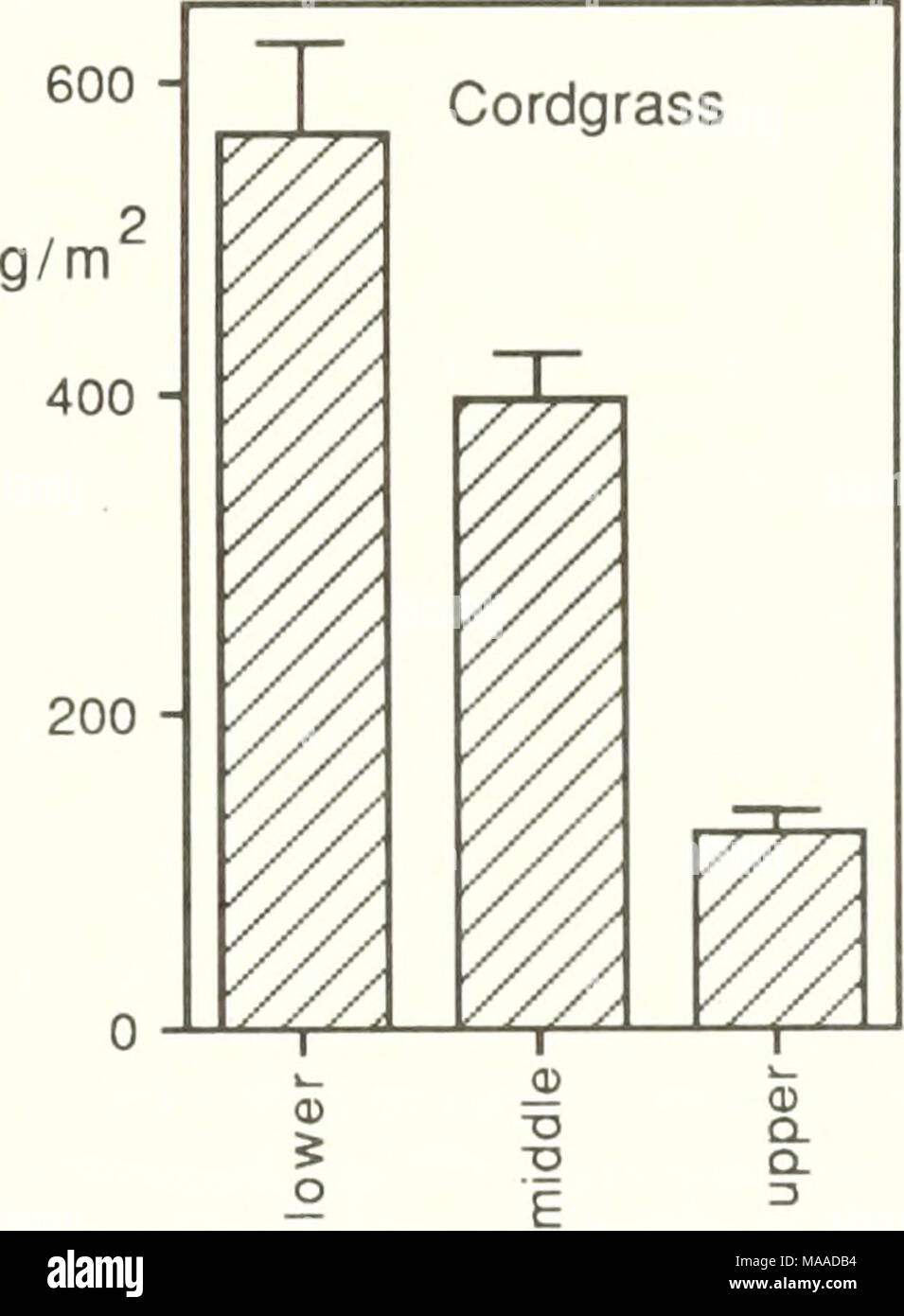 . L'ecologia di Tijuana estuario, California : un cittadino di estuario riserva di ricerca . Figura 5.10. La crescita di sale vegetazione palustre a tre elevazioni, che differivano per allagamento, l'umidità del suolo e della salinità del suolo. Grafico in alto: Risposta di pickleweed (Salicornia virginica) Biomassa sopraelevata. Fondo: Risposta di cordgrass (Spartina marittima foliosa) la biomassa. I dati provengono dall'esterno studio mesocosm da Griswold (1988). 1 13 Foto Stock