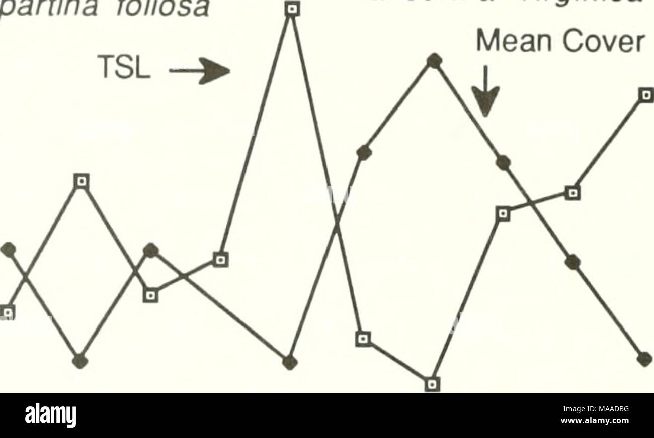 . L'ecologia di Tijuana estuario, California : un cittadino di estuario riserva di ricerca . 78 -i- 1980 1 1982 1984 1 1986 1 1988 i-80 -70 ^5 -60 CD &gt; o O -50 c CD CD -40 -30 Figura 5.4. Spostamenti reciproci in abbondanza di cordgrass (Spartina marittima foliosa) e pickleweed (Salicornia virginica) oltre i dieci anni di programma di monitoraggio. Si è verificato un allagamento nel 1980 e 1983; nontidal siccità si è verificato nel 1984. I dati provengono dall'originale 102 inferiore la palude di stazioni di campionamento con mezzi solo per quadrats dove le rispettive specie si è verificato (n &lt; 102). TSL = totale lunghezza dello stelo. Pickleweed può così hanno rallentato th Foto Stock