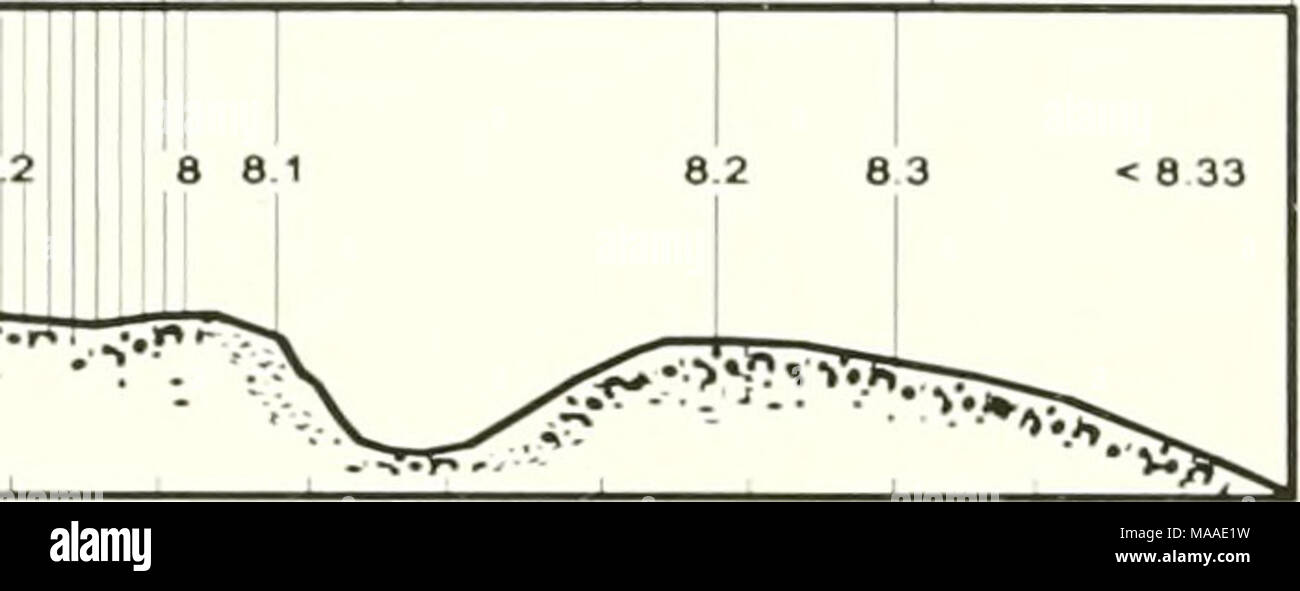 . Ecologia di poiane Bay : un profilo di estuario . C 31.&LT; vicino al fondo scala in miglia poiane Bay ST. 1 ST. 2 ST. 3 ST i punto pietroso Dike ST 5 ST. 6 Canal corretto ST 8 STB ST. lO ST. Ho la baia di Cape Cod ST. 12 ST. 13 4.8 Â".8 5.0 1 w : 4.61 46 4.5 4.4 - * 4.3 4.2 " "f^^'&GT;','^,r"',rVS '^'-'*i'"V %'*JV-^ â Jt*5K"*r&GT; - aprile 11. 1960 f West 844 Corrente di marea diventa Est 1456 HO Foto Stock