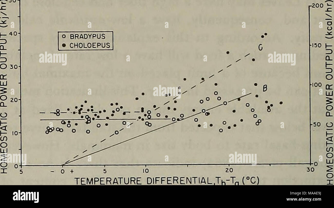 . L'Ecologia di Arborea folivores : un simposio tenutosi presso la conservazione e il Centro di Ricerca Nazionale, Parco Zoologico, Smithsonian Institution, 29-31 maggio 1975 . Temperatura differiscono ENTIAL,Tb-CT (Â°C) Figura 9. Omeostatici di uscita di potenza in Bradypus e Choloepus come una funzione della differenza di temperatura tra il corpo e l'ambiente. Sulla base dei dati nelle figure 1 e 2, ipotizzando che il peso corporeo medio per Bradypus è 3,79 kg e per Choloepus è 4,25 kg. (11Â°C, figura 9, tabella 2). La sua spesa omeostatico variava tra 4,5 (3.8) e 5,3 watt (4,5 kcal/hr). Le spese f Foto Stock
