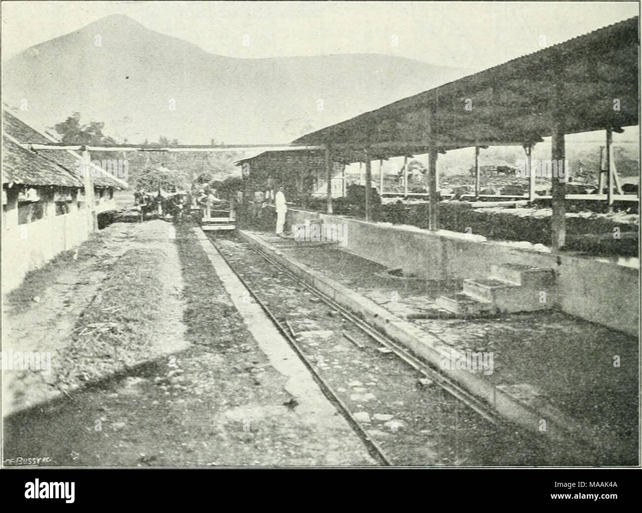 . Il dott. K.W. van Gorkom's Oost-Indische culture. Opnieuw uitg. onder redactie van H.C. Prinsen Geerligs. [Porta J.P. van der Stock et al.] . Fig. 189. Vullen der fermenteerbakken. worden. Het geheel wordt bamboestokken dello sportello del MET bamboevlechtwerk houten balken zacht aangedrukt. Gli uomini laat nu zuiver koud water (± 270) toevloeien, totdat de planten bedekt geheel zijn, waarna het z.g. fermenteeren een aanvang neemt. Met zulk acqua werkende duurt dat ongeveer 0001 71 2 uur. Toen vroeger algemeen Guatemala-indigo werd verbouwd, werd op sommige ondernemingen de tijd destrieri gelijk genomen di in verban Foto Stock