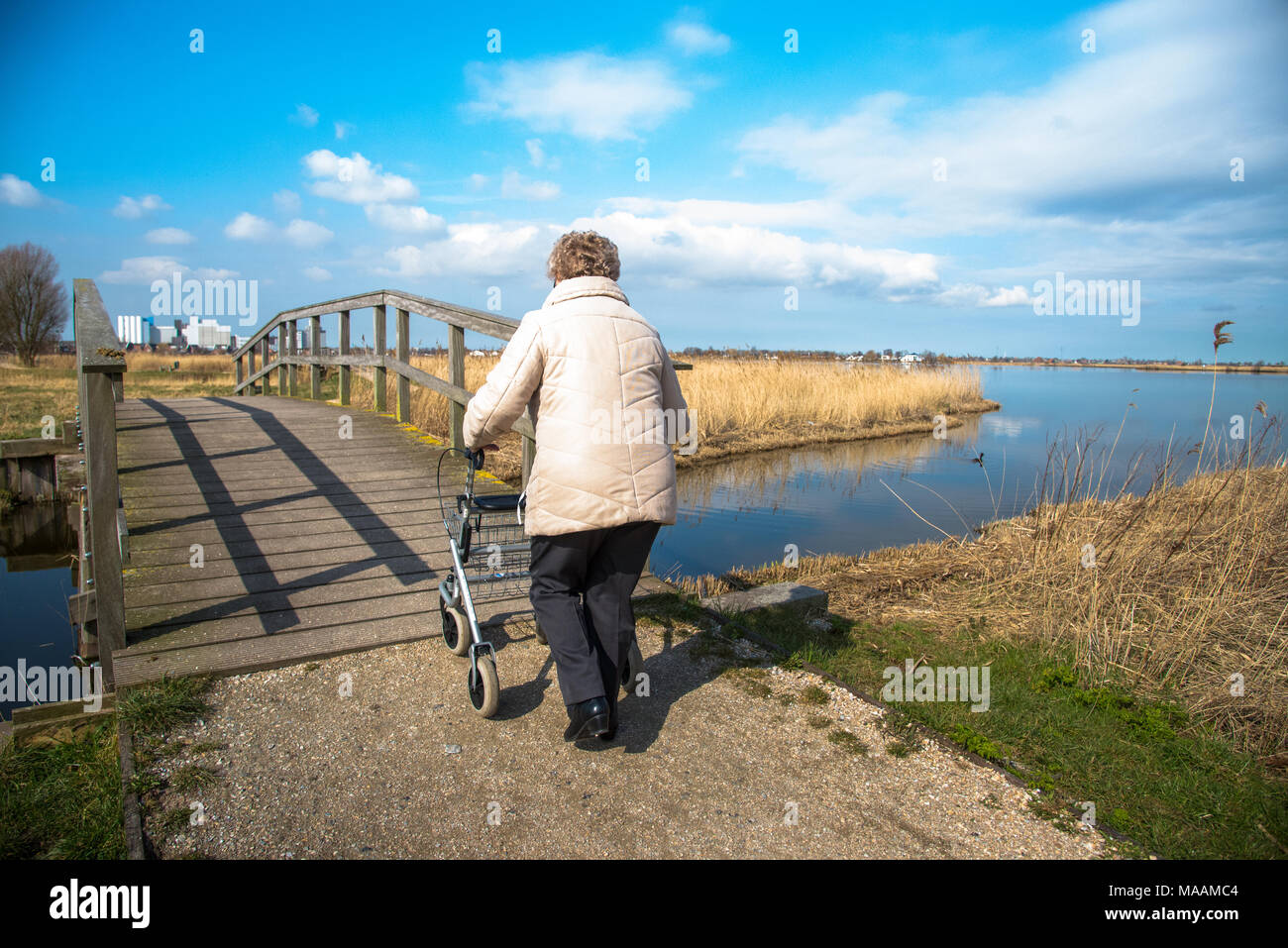 Donna anziana che cammina all'esterno con un rollator, Olanda Foto Stock