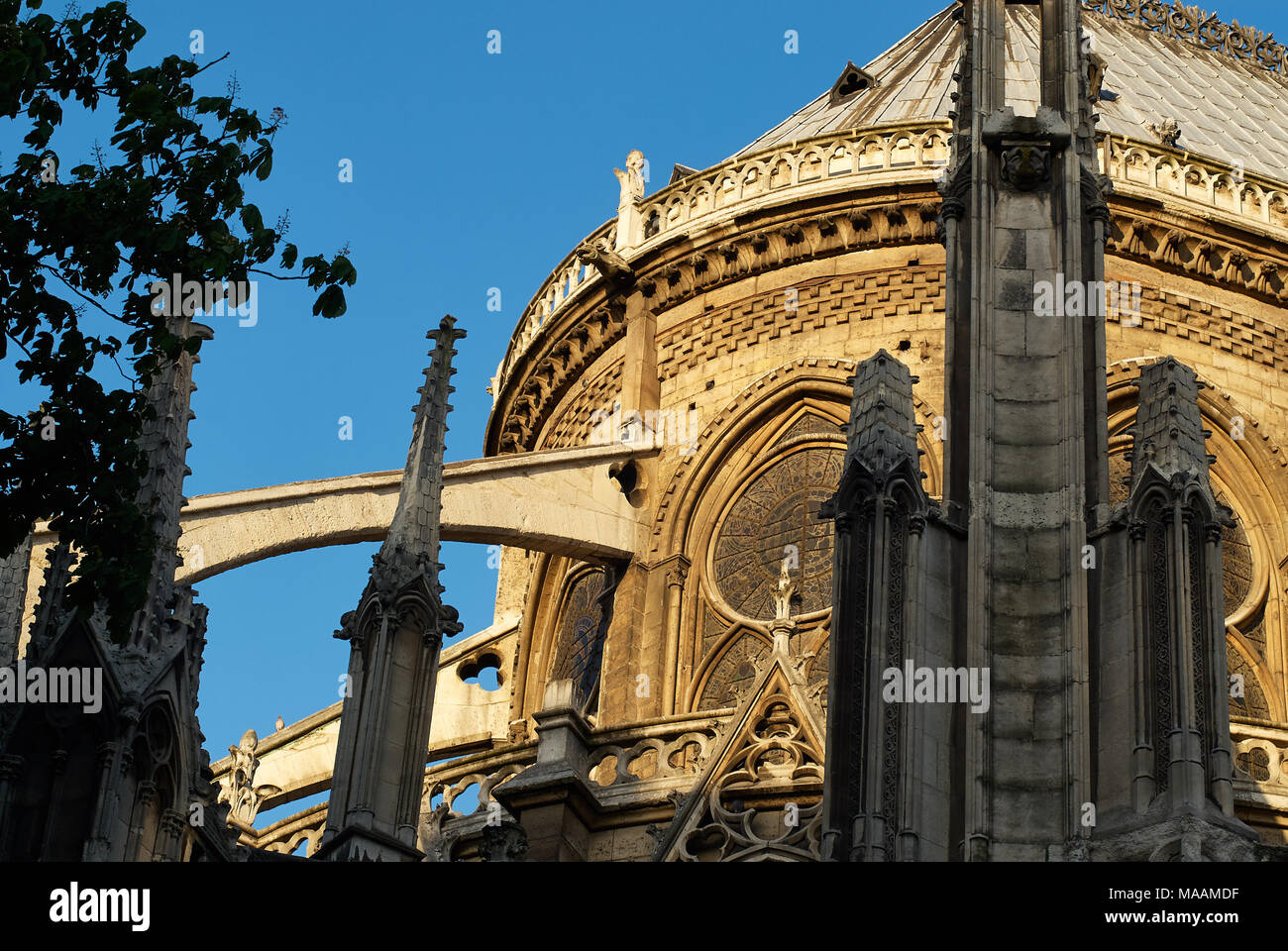 Flying Butresses, la cattedrale di Notre Dame, Paris, Francia Foto Stock