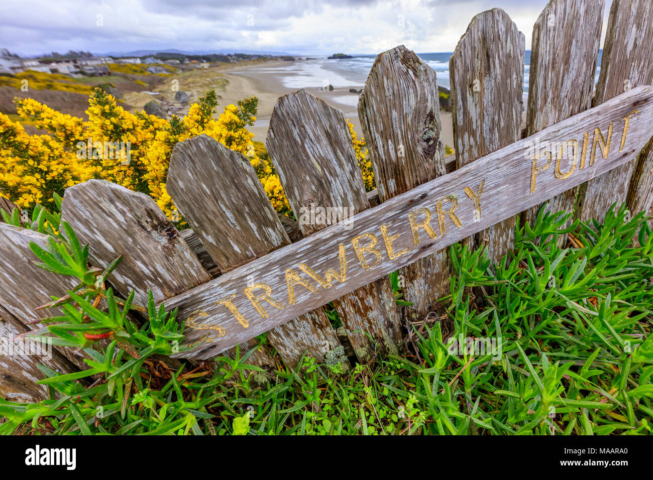 Bandon Beach sulla costa dell'Oregon Foto Stock