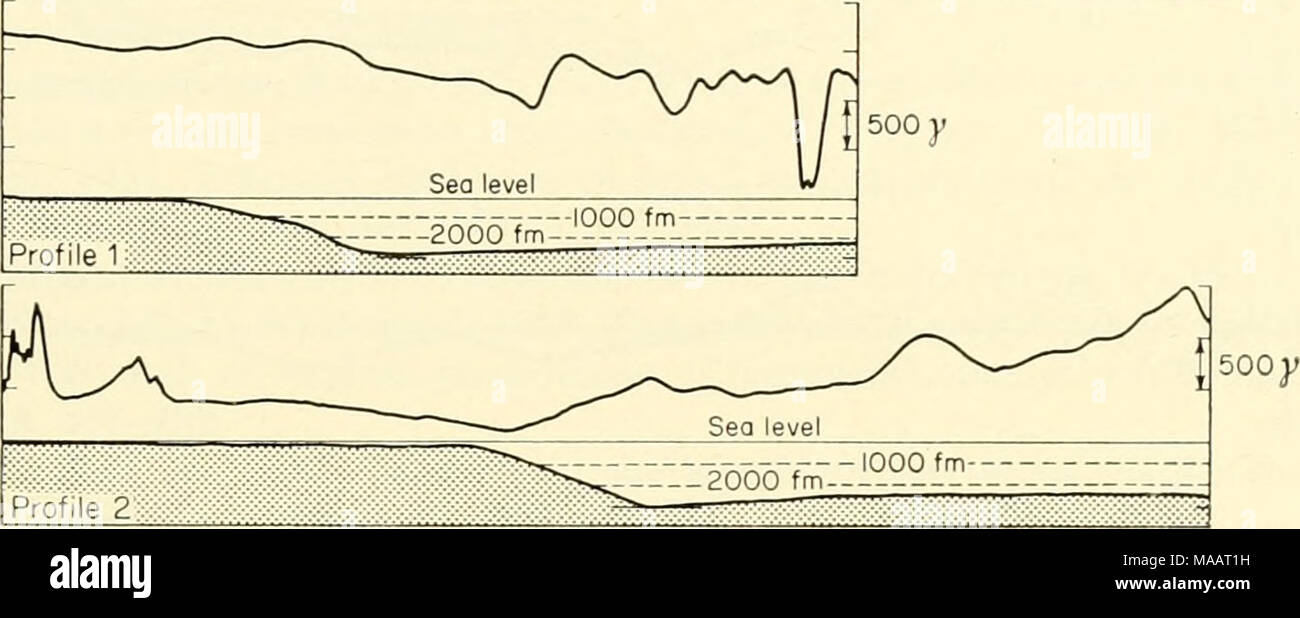 . La messa a terra sotto il mare : Storia . - X^â!l :^^^^ livello del mare . "^^ ^^^-- -iooo f m:'???it::: Profilo imm Wm^^M^M:::^ "^ ^ livello del mare mmm^ 1000 fm '----^- ?000 fm-- â â ---;; Profilo 4 ^"S-^â-T"^ 500 y 500; miglia nautiche 0 20 40 60 MI- scala scala verticale Foto Stock