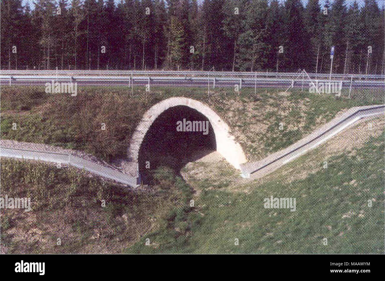 . Gli effetti potenziali di autostrada la mortalità e la frammentazione degli habitat su una popolazione di tartarughe dipinta nel Montana . La Figura A-12. Esempio di una combinazione di metodi di barriera. Canale sotterraneo arcuata con un grande recinto lungo l'autostrada e la rotaia metallica per anfibi e rettili (Germania). Foto: Banca et al. 2002. A-13 Foto Stock