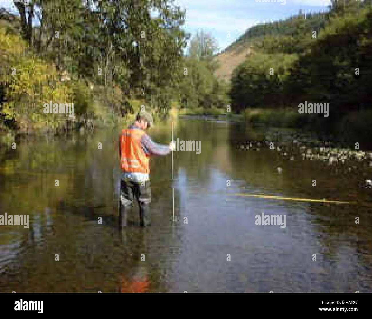 . Indagini acquatici e valutazione della Slim Buttes regione di Harding e la Butte Co., SD . La figura 5. Il canale di misurazione della profondità come parte dell'habitat e valutazioni geomorfologia. Comunità di pesci Pesci i protocolli di campionamento (MTFWP 2003) richiesto il posizionamento di a monte e a valle del blocco di reti alle estremità della portata (300m o 40x larghezza bagnata), ma la maggior parte del tempo sezioni poco profonde e/o riffle aree sono state sufficienti per evitare che il pesce sfugga mentre l'eseguire &AMP; aree piscina venivano seined da monte verso la direzione a valle con un 20-30 ft va dritto in pollici Seine, a seconda Foto Stock