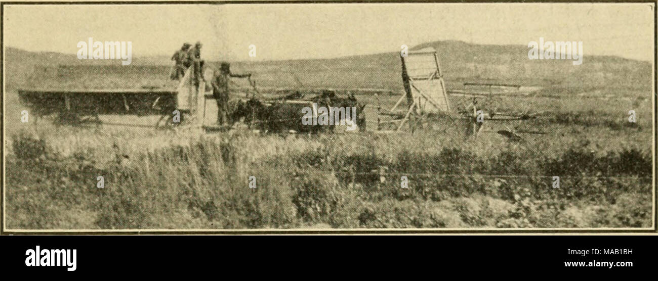 . Dry-agricoltura; . Fig. 111. Homeward Bound. Sagebrush in primo piano; drj'-fattorie in distanza. colture di tanto in tanto e pratica la rotazione. Su terreni fertili e piante coppia con meno acqua. Seminare solo mediante il metodo di perforazione. * Ove possibile utilizzare rientrano le varietà di colture. Impianto profondamente - tre o quattro pollici per granella. Impianto inizio in autunno, espe- cially se la terra è stata estate a riposo. Utilizzare solo circa la metà tanto seme come è raccomandato per umido-agricoltura. Tutte le colture ordinarie può essere cresciuto da asciutto-farm- ing. Sicuro di seme che è stata sollevata in dry-fattorie. Guardare fuori per nuove varietà, espe Foto Stock . Dry-agricoltura; . Fig. 111. Homeward Bound. Sagebrush in primo piano; drj'-fattorie in distanza. colture di tanto in tanto e pratica la rotazione. Su terreni fertili e piante coppia con meno acqua. Seminare solo mediante il metodo di perforazione. * Ove possibile utilizzare rientrano le varietà di colture. Impianto profondamente - tre o quattro pollici per granella. Impianto inizio in autunno, espe- cially se la terra è stata estate a riposo. Utilizzare solo circa la metà tanto seme come è raccomandato per umido-agricoltura. Tutte le colture ordinarie può essere cresciuto da asciutto-farm- ing. Sicuro di seme che è stata sollevata in dry-fattorie. Guardare fuori per nuove varietà, espe Foto Stock