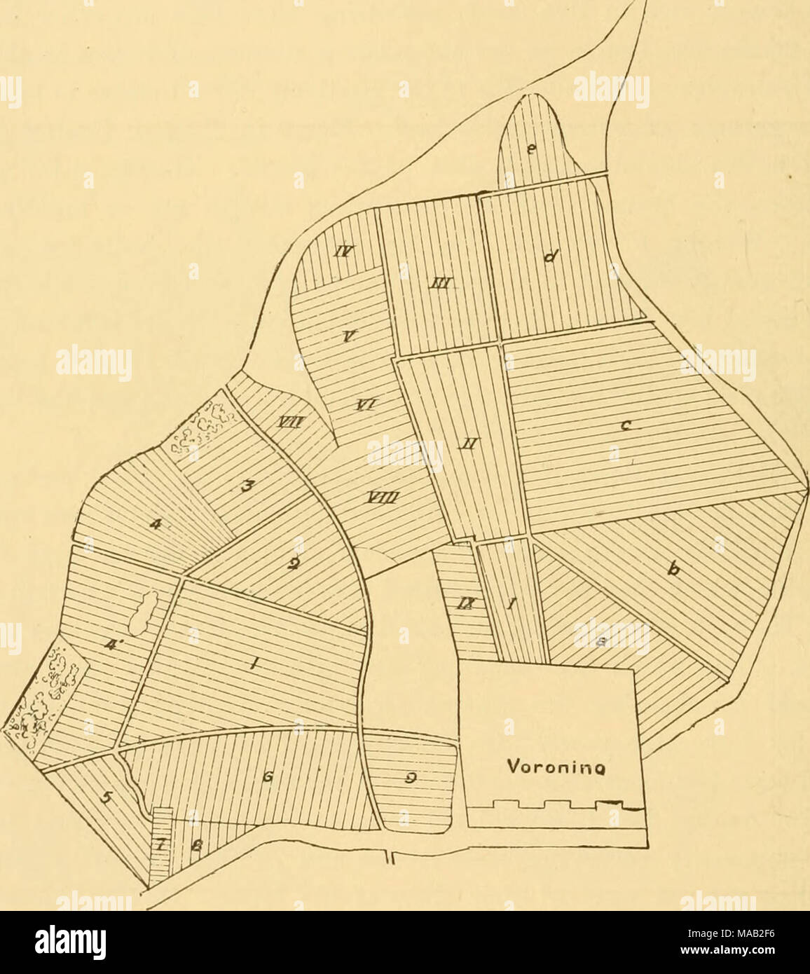 . La terra e i suoi abitanti .. . Un istituto generale nell'impero, sebbene la sua più originale e meglio studiata forme si verificano principalmente nella grande Russia. Il rendering di usuale del termine mir da quella di * " comune " è poco corretto, per il lavoro in comune è poco praticata eccetto in alcuni temporanei i sindacati agricoli, come ad esempio il schershchina del Basso Volga e un po' di Russia. In alcune comunità Raskolnik la terra non è ancora divisa ma coltivata da tutti e il produrre distribuiti secondo il numero dei lavoratori in ogni famiglia. Regola di Asa, di lavoro in comune e uguale divisi Foto Stock