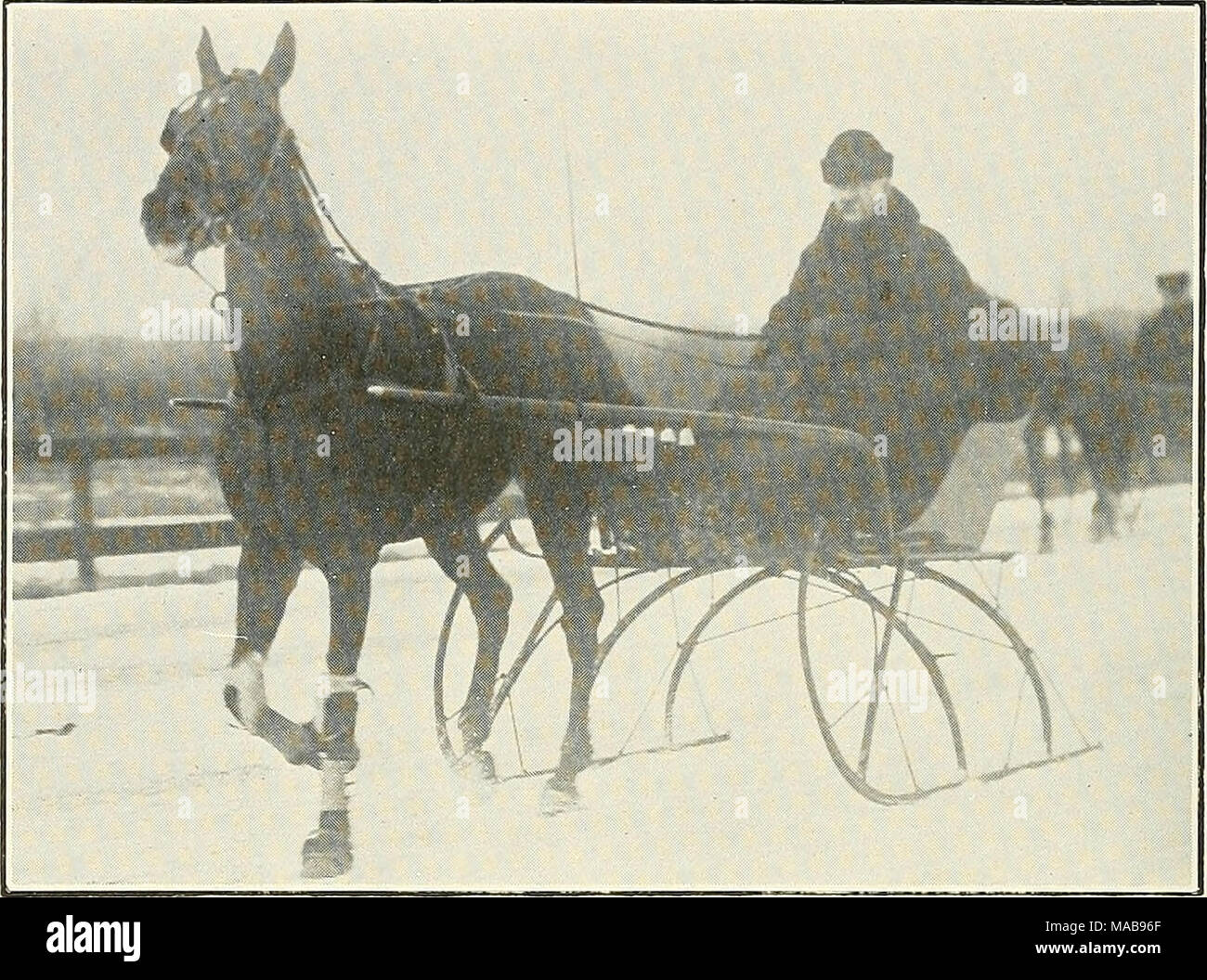 . Il club Guida di Greater Boston .. . ROB B. vincitore di un quarto di miglio di calore in 30 secondi al campo di Franklin Speedway. Rimaneva ancora nel 1914 Record della pista per slittino. Di proprietà e pilotato da M. A. Nevens Foto Stock