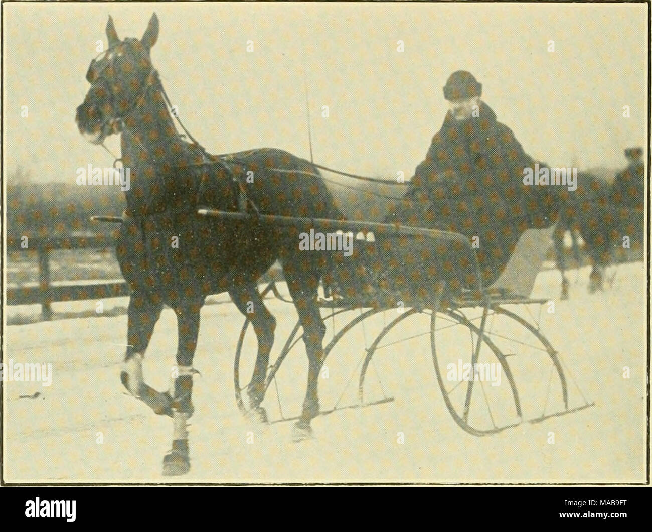 . Il club Guida di Greater Boston . ROB B. vincitore di un quarto di miglio di calore in 30 secondi al campo di Franklin Speedway. Rimaneva ancora nel 1914 Record della pista per slittino. Di proprietà e pilotato da M. A. Nevens Foto Stock