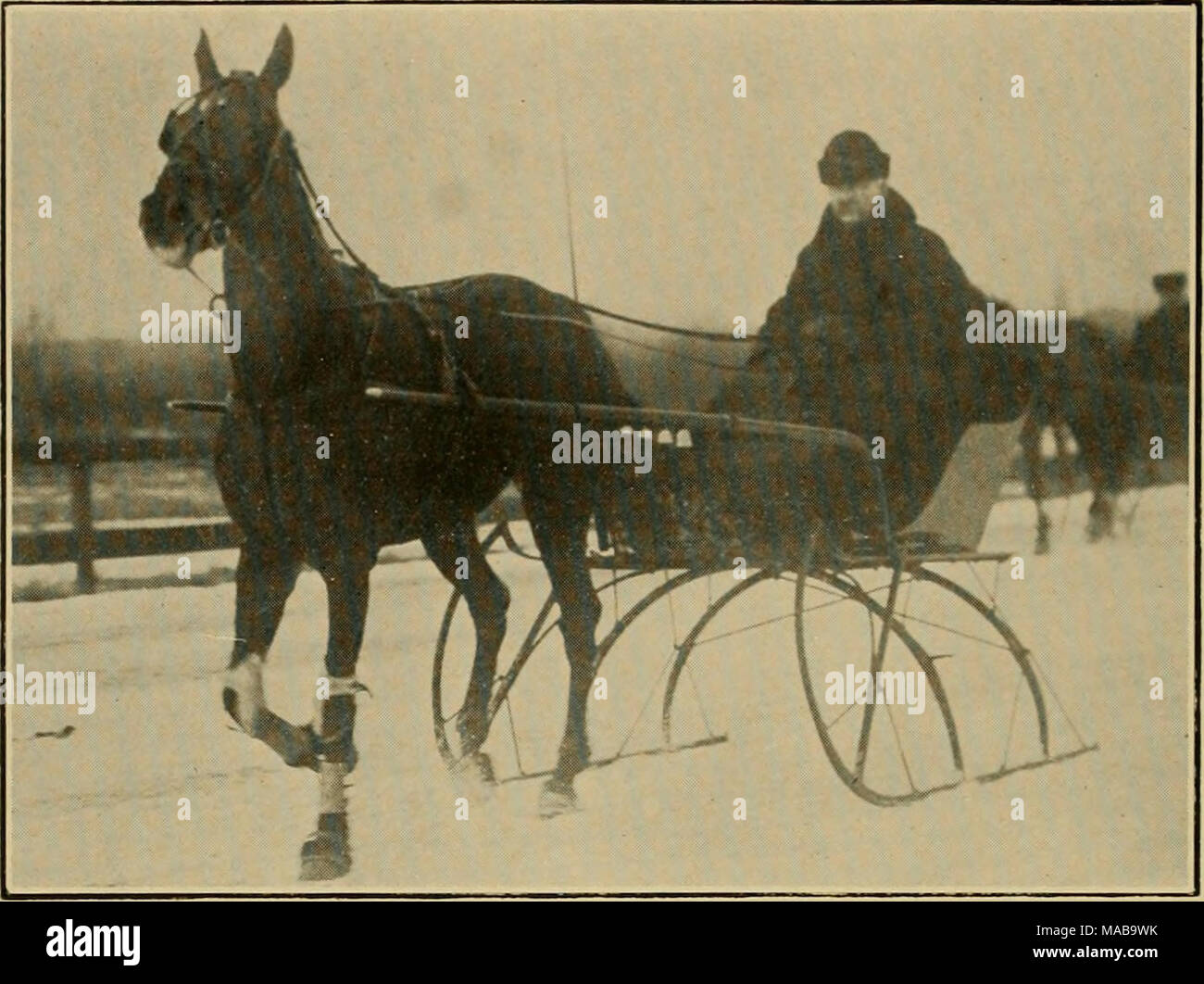 . Il club Guida di Greater Boston . ROB B. vincitore di un quarto di miglio di calore in 30 secondi al campo di Franklin Speedway. Rimaneva ancora nel 1914 Record della pista per slittino. Di proprietà e pilotato da M. A. Nevens Foto Stock