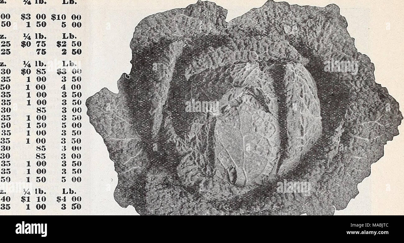 . Dreer all'ingrosso listino prezzi per fioristi : semi di fiori piante e bulbi vegetali e semi di erba per prato all'inglese sundries . Oz. $0 20 10 10 15 20 15 10 15 V4 V* lb. igO CO 30 30 40 50 40 30 45 y* lb. $1 10 1 00 lb. 10 libbre $1 $50 12 50 00 10 25 75 25 00 35 i) 50 10 00 11 00 15 00 11 00 9 50 12 50 oz. Oz. Vi lb. Lb. 00 $3 50 $12 00 $45 00 90 3 00 10 00 35 00 75 2 00 7 00 25 00 75 2 25 7 00 60 1 G5 G 00 sedano Oz. V* lb. Lb. $1 40 $4 25 $15 00 2 00 7 00 25 00 Florida Golden (Nuovo) . . 2 00 7 00 25 00 Golden Self lilanchiiifi 50 1 50 5 00 50 1 50 5 00 pennacchio bianco 30 85 3 00 30 85 3 00 Foto Stock