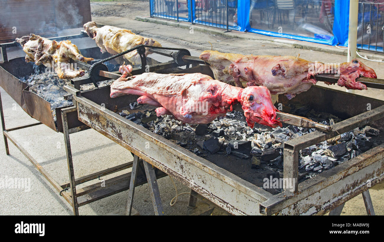 Arrosto di pecora in Serbia su uno spiedo nel modo tradizionale. Foto Stock