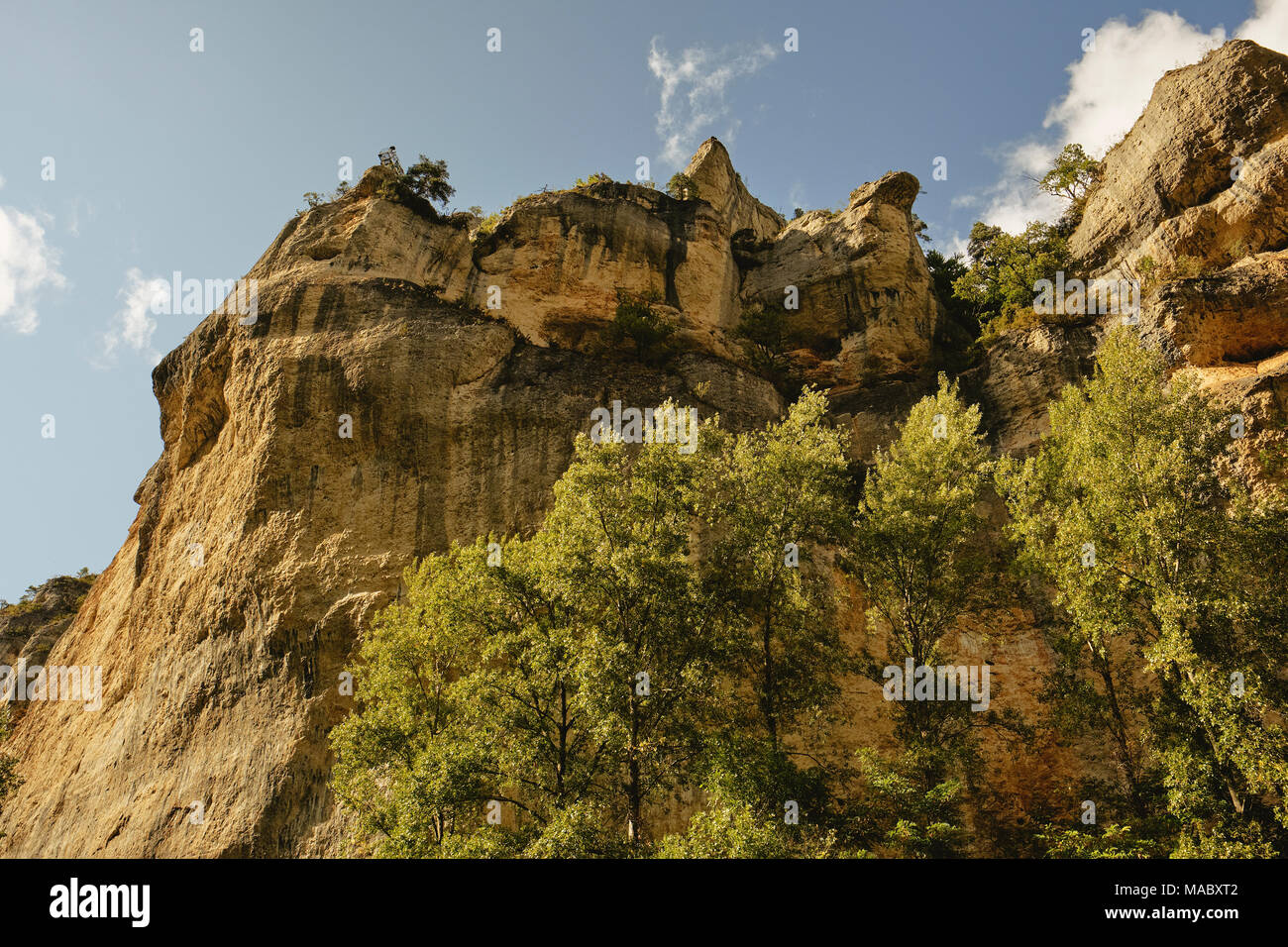Le scogliere calcaree delle Gorges du Tarn è un canyon formato dal fiume Tarn tra il Causse Méjean e il Causse de Sauveterre, Francia. Foto Stock