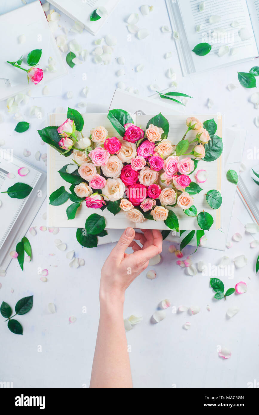 Concetto di primavera con un libro aperto, rose su pagine e donna mano. Bianco su bianco ancora femminile vita con copia spazio. Foto Stock