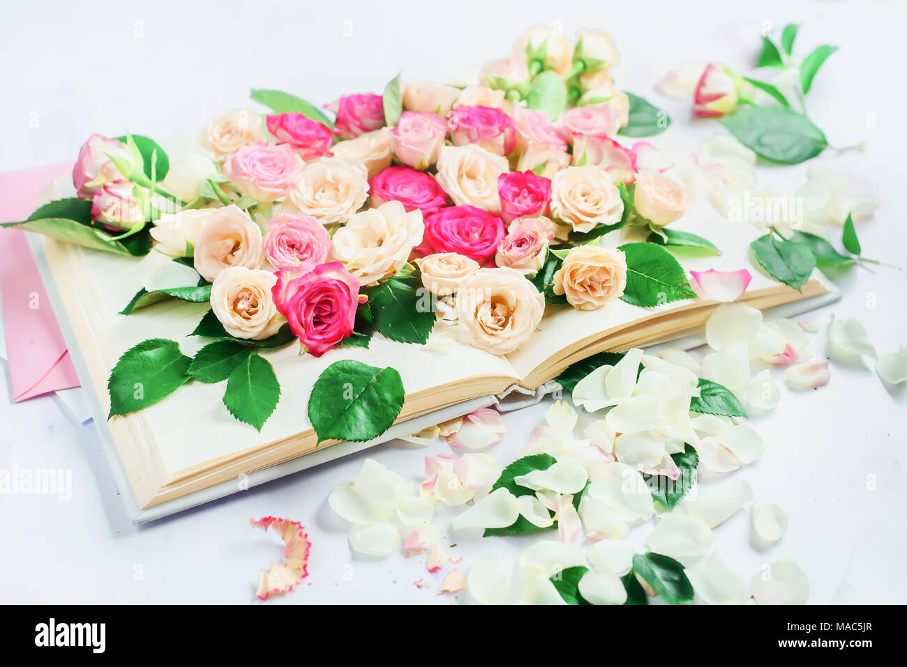 Libro aperto con fiori e petali di rosa sulle pagine di close-up. Molla di concetto di lettura in chiave di alta con copia spazio. Foto Stock