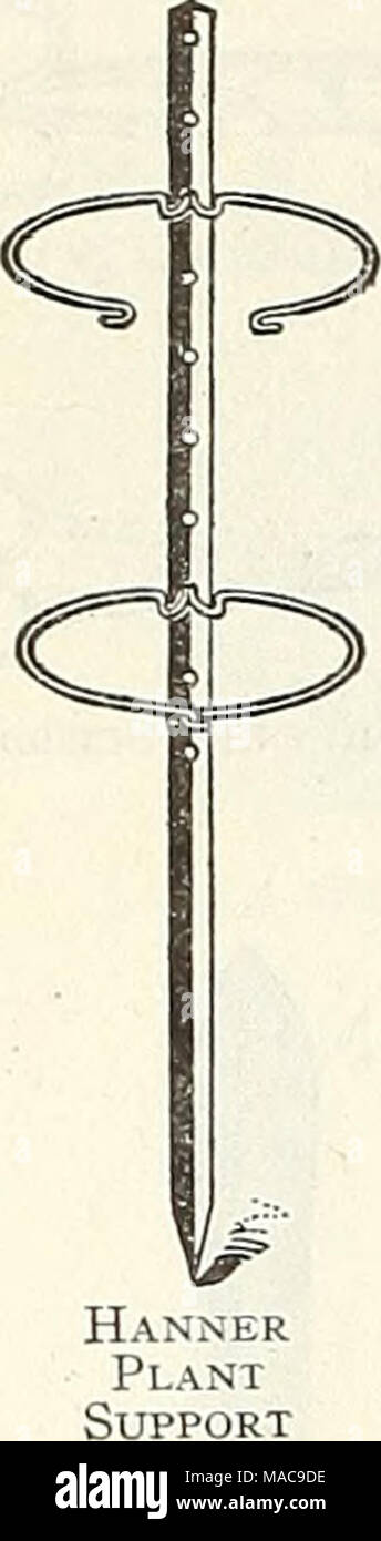 . Dreer la metà estate elenco 1923 . Modello Peonia o pomodoro Trellis Western picchetti di canna. Questi non devono essere confusi con gli stock meridionale. Mentre non abbastanza grandi sono molto più rigorosa e wiU outlast la canna del sud di molte volte. 100 500 1000 da 6 a 8 ft $2.50 SHOO $20.00 da 9 a 12 ft 4.00 18.00 35.00 graticci. Supporti di garofano, vedere pagina 49. Pomodoro o Peonia graticci. Un molto meglio il raccolto è ottenuta mediante la formazione di pomodori su un supporto. Inoltre si preferisce che molte piante fiorite essere dato un certo supporto. Modello, filo, ciascuno, 35 cts.; doz., $3,50; 100 $30.00 Hanner, regolabile, ciascuno, 40 cts Foto Stock