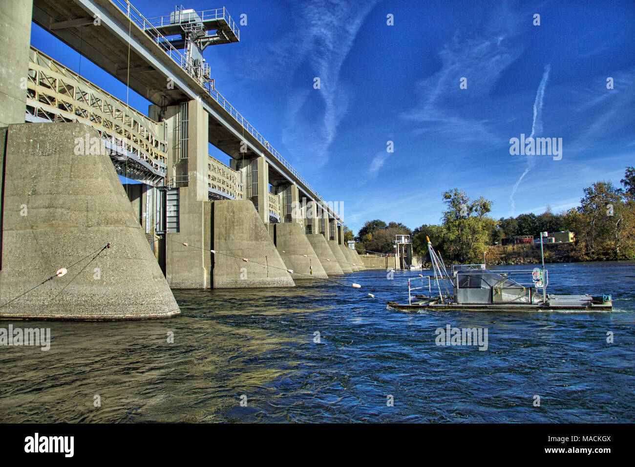 Sacramento River capretti anadrome pesce Progetto di Monitoraggio a Red Bluff. Vite rotante trappole alla base del Red Bluff diversione diga sul fiume Sacramento. Foto Stock