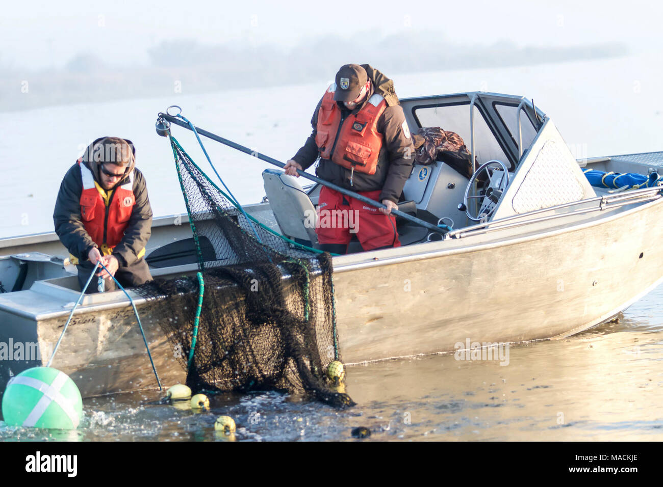 Sacramento-San Joaquin River Delta. Delta speciale puzzava di siccità le operazioni di monitoraggio nei pressi del Rio Vista, CA 2-2-2015 Foto Stock