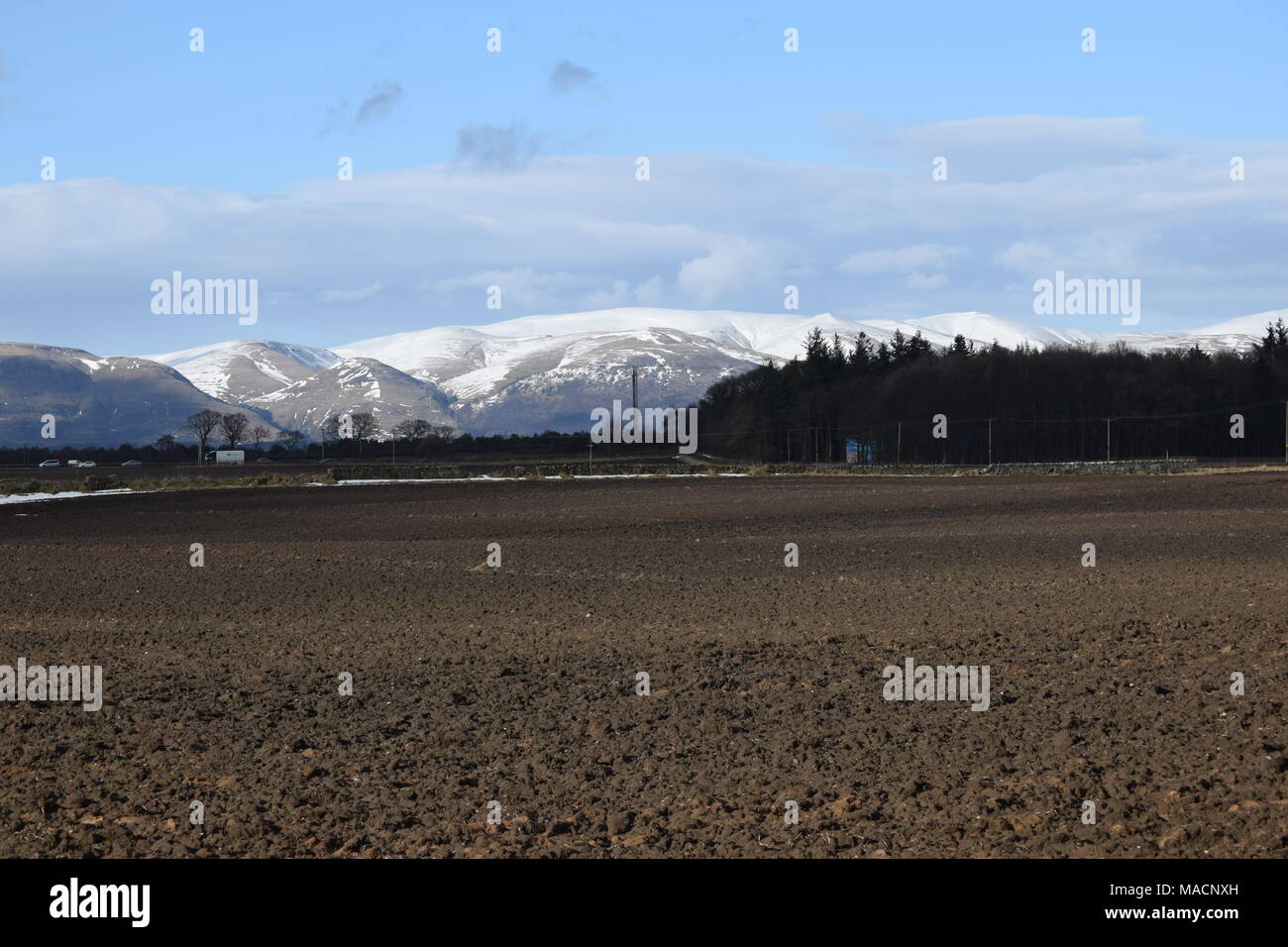 "Kelpies' 'helix park" "Falkirk' 'Scozia centrale' 'Ochil Hills' Foto Stock