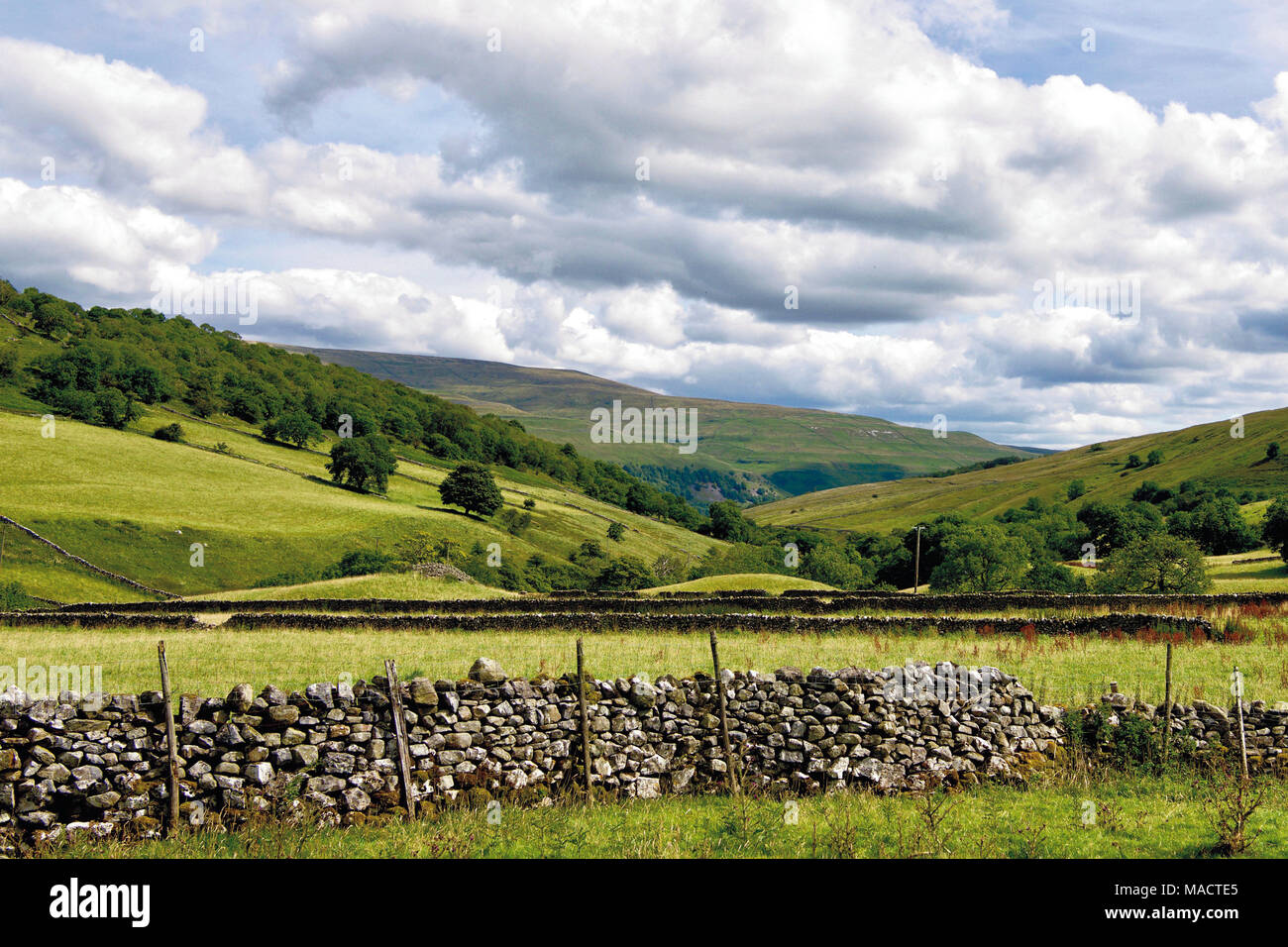 Yorkshire Dales Foto Stock