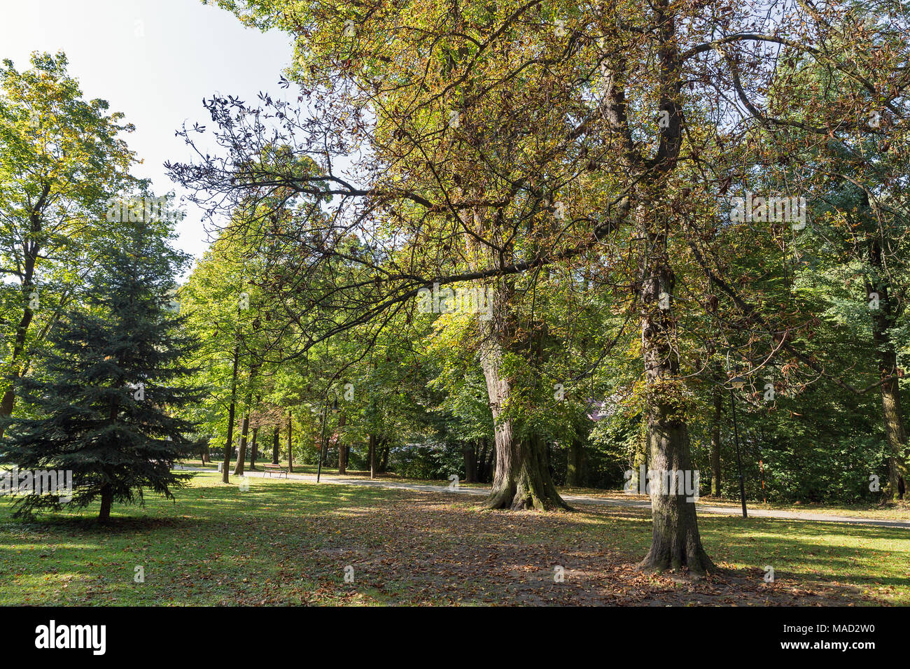 Parco Kupelny su spa resort in Sklene Teplice, Slovacchia. Sklene Teplice è un piccolo villaggio termale in Banska Bystrica Regione della Slovacchia centrale. È clo Foto Stock