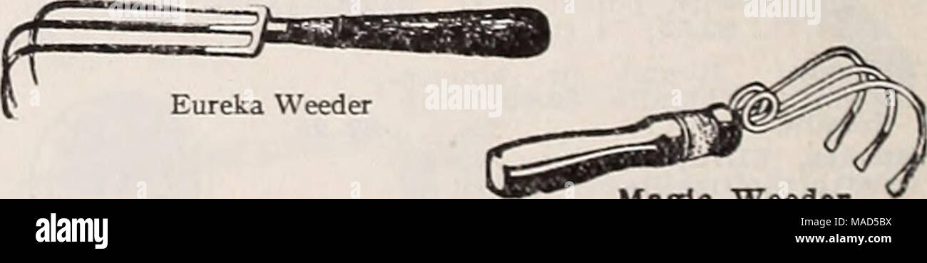 . Dreer del catalogo all'ingrosso per fioristi : inverno primavera estate 1937 . Weeder Magrlc sarchiatrici. Eureka, 45c; Magic Weeder $0 30 serra Sreer Barrow. Estremamente ben fatta, di restringere la costruzione in modo che esso può essere utilizzato in più stretti corridoi di serra. Le impugnature sono dotati di un dispositivo di metallo che protegge le mani dalla raschiatura su banco degli angoli 9^ 00 92 Foto Stock