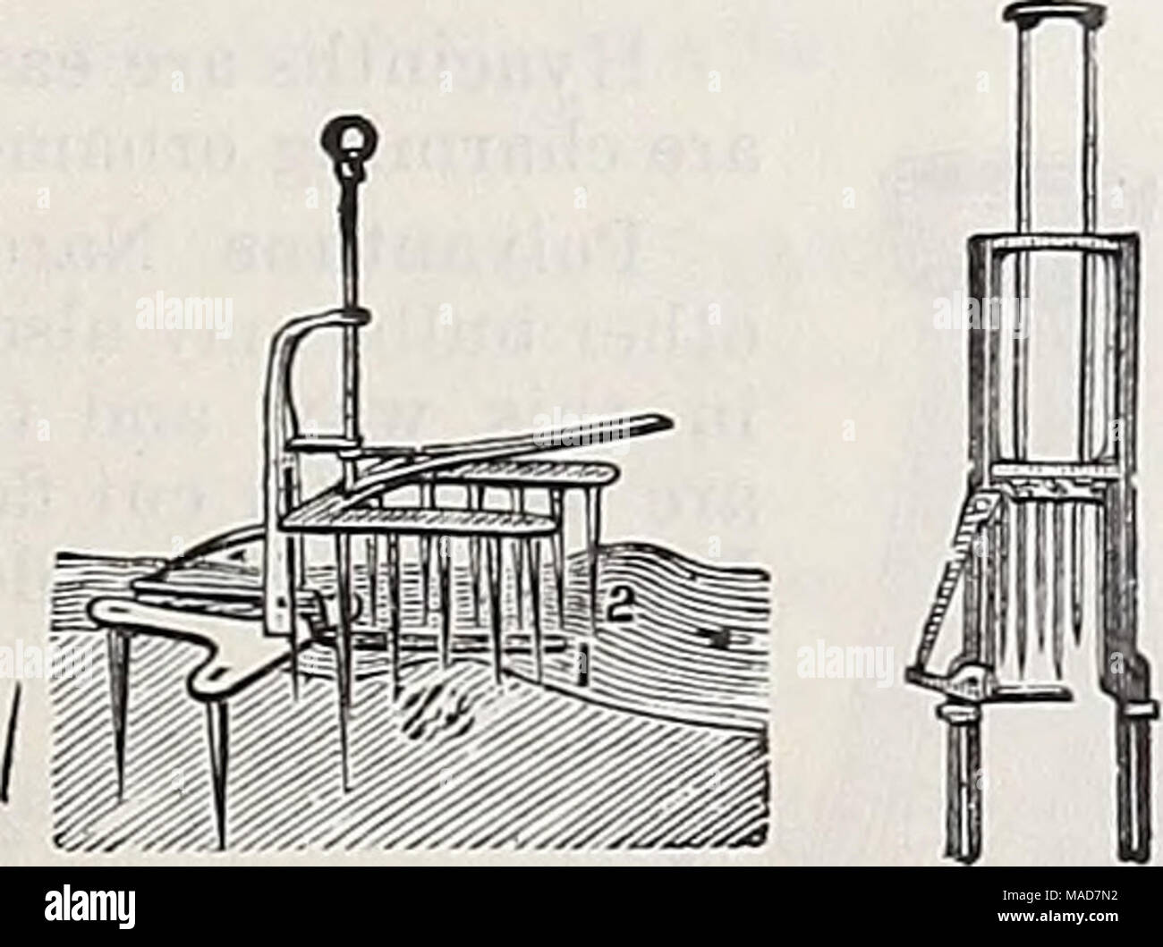 . Dreer trimestrale del listino all'ingrosso di bulbi vegetali di piante e semi di fiori per caduta la semina implementa, fertilizzanti e requisiti . Auto registrante termometro. La perfezione. Olmstead's. Mole di trap. La perfezione $1 85 Olmstead 1 40 Dreer dell impianto di ferro stand. Impianto di questi supporti sono realizzati in ghisa in cinque dimensioni e possono essere arredate in tre stili : plain nero, galva- nized e bronzato. Essi saranno trovati molto utili per elevare le piante nella fila posteriore di serre, conserv- atories, ecc. 10 per cet. dis- contare su 5 cavalletti e oltre. Foto Stock