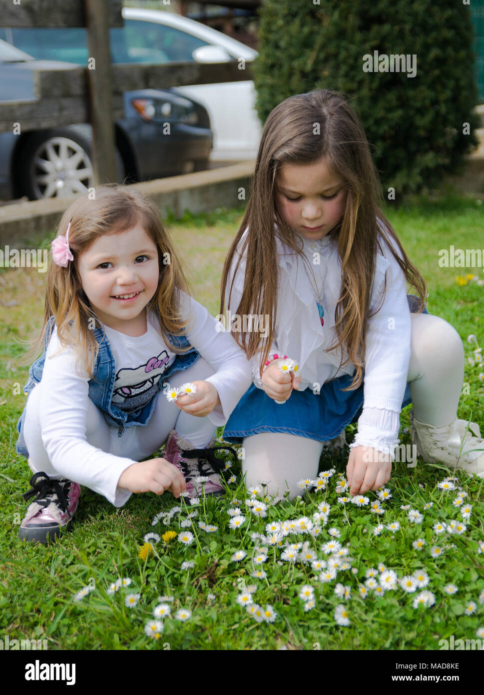 Due bambine raccogliere margherite su un prato verde. Foto Stock
