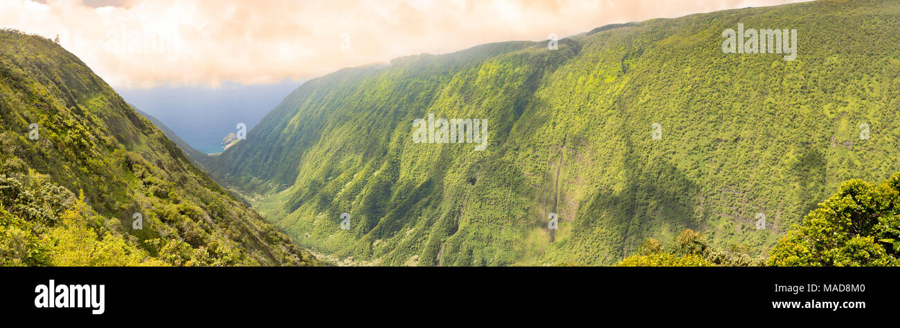 Waikolu Valley, chiamato anche Waikola, si trova sulla sponda nord di Molokai. Kalaupapa peninsula si trova immediatamente alla sinistra di chi guarda questo va Foto Stock