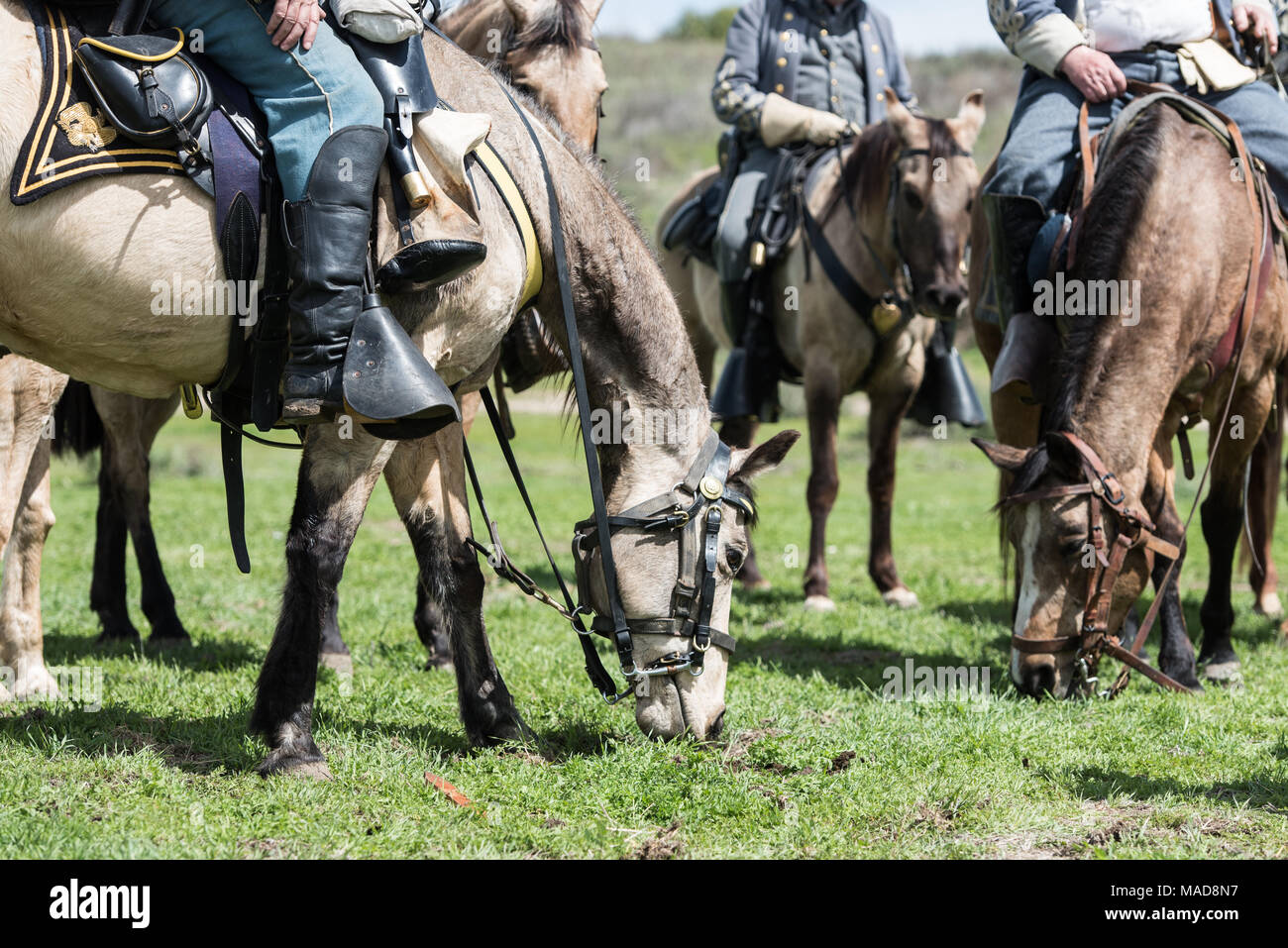 MOORPARK, CA - 18 Marzo: il blu e grigio guerra civile Rievocazione storica a Moorpark, CA è la più grande battaglia rievocazione storica a ovest del Mississippi. Foto Stock